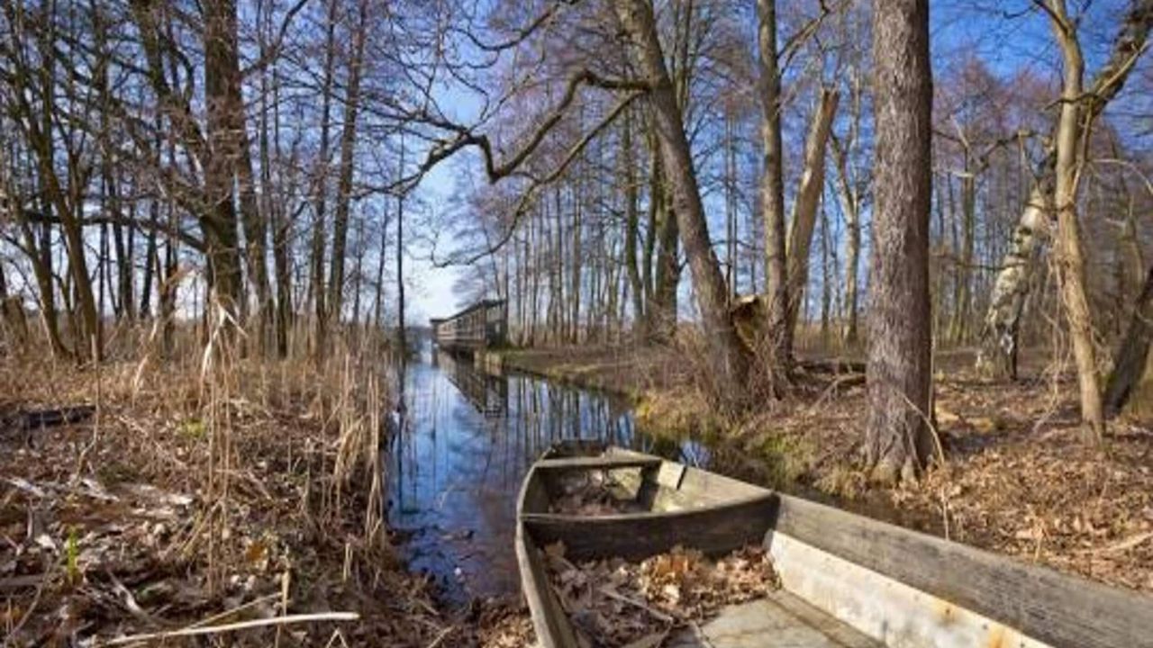 AreaSummer20KM AreaSummer20KM